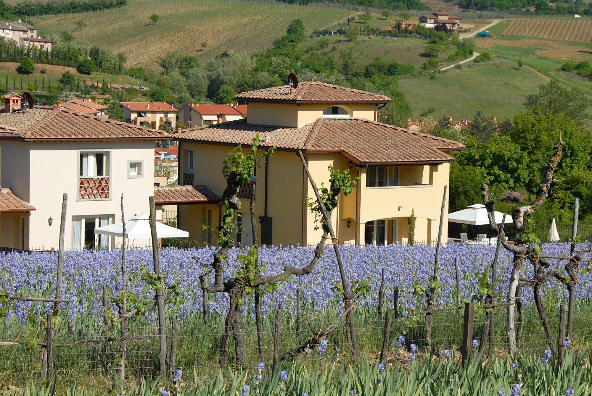 Villa Residenza Le Grillaie Greve in Chianti Esterno foto